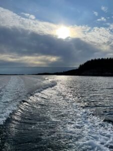 IMG-20250627-WA0009
