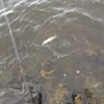 img_20250601_180251
