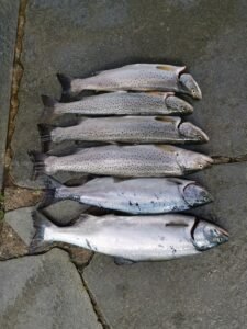 IMG_20250617_151423