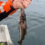 save_20250601_201103