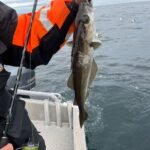 save_20250601_201119