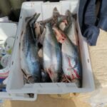 img_20250701_142656
