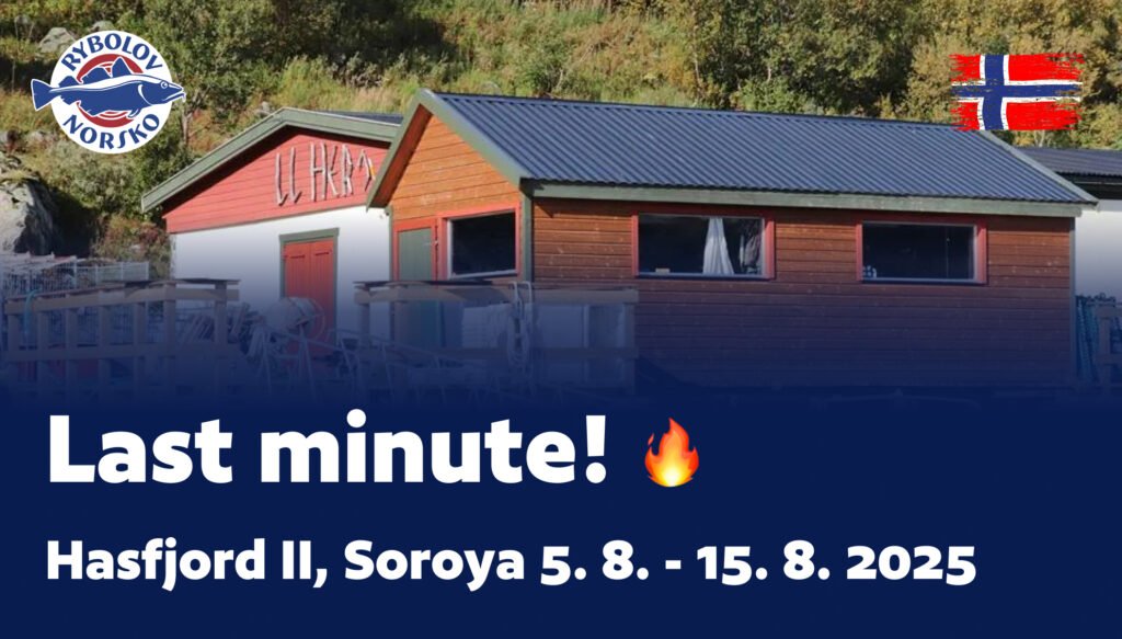 Last minute Soroya Hasfjord 2