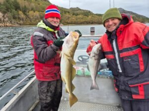 558301647_2255100518270731_1932905087284764021_n