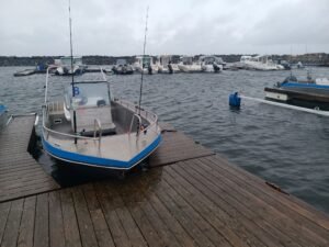 559288054_2257127708068012_1441669980292269093_n