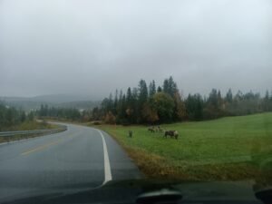 561609262_2261144627666320_1828577038423838237_n