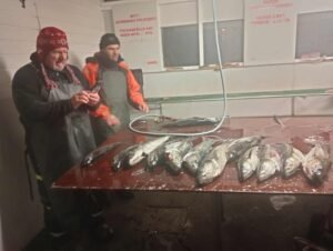 561831608_2261145047666278_577405015911000335_n