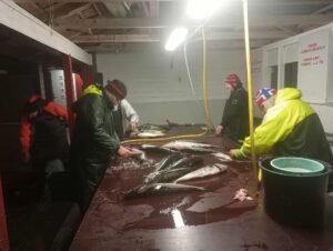 565177042_2261145014332948_2039953795017267927_n