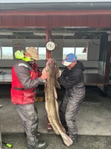 566256408_2266654523781997_5731125455647275176_n