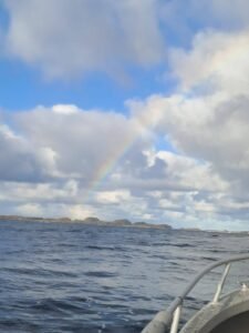 568345610_2264725697308213_7734739215367504592_n