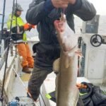 img-20251115-wa0009-2