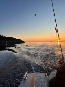 501516188_2145102435937207_6487748768212163428_n