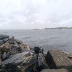 img_20251010_145807_199