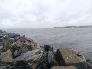 IMG_20251010_145807_199