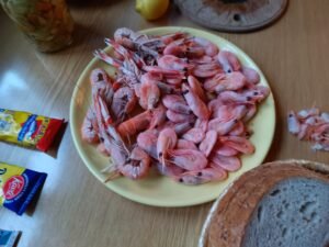 IMG_20251115_154513_078