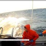 46510435_106096267078004_8743306465390886912_n