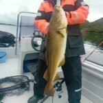 528162365_2197509380696512_286433079137284639_n-2