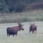 528370227_2197509467363170_5329030781340443878_n-2