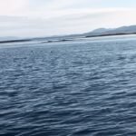 544551702_2226982061082577_1092321968634098122_n-2