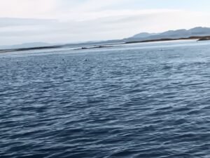 544551702_2226982061082577_1092321968634098122_n