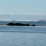 545413314_2227818867665563_2769053732626613225_n-2