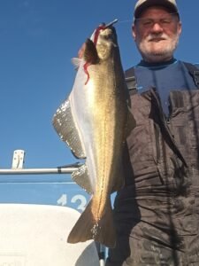 556052812_2249229502191166_8358312339705915864_n