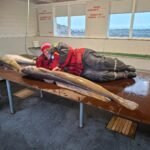 569276608_2266654680448648_3378657625261498622_n-2