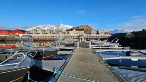 517114148_10232561877284004_1563730515367601757_n