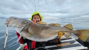 517248624_10232561872883894_778029100781842708_n