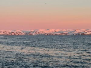 517688608_10232561873803917_5787417913236941829_n