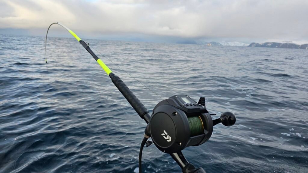 520178466 10232561873563911 3960711765838683356 n