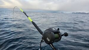 520178466_10232561873563911_3960711765838683356_n