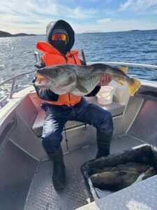 659577421_2406759519771496_5275291120924462562_n