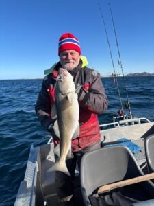 660302353_2406759609771487_5381498372467297357_n