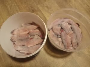 661586558_2408476969599751_7383156630696959643_n