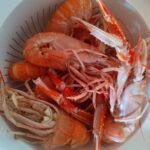 667735364_2410945189352929_8559422029018187977_n