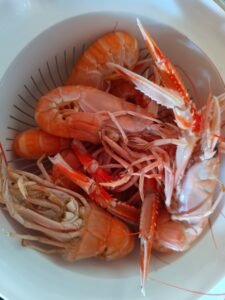 667735364_2410945189352929_8559422029018187977_n