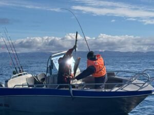 668271104_2410125602768221_8754132764186831083_n