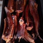 669569329_2414918955622219_7315238371593691963_n