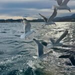 670301036_2415740702206711_1255709198582696578_n