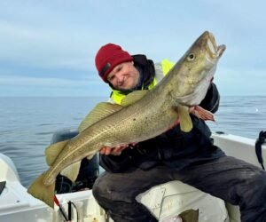 FB_IMG_1776448031500