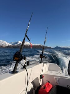 FB_IMG_1776448034492