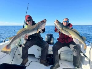 FB_IMG_1776448044844