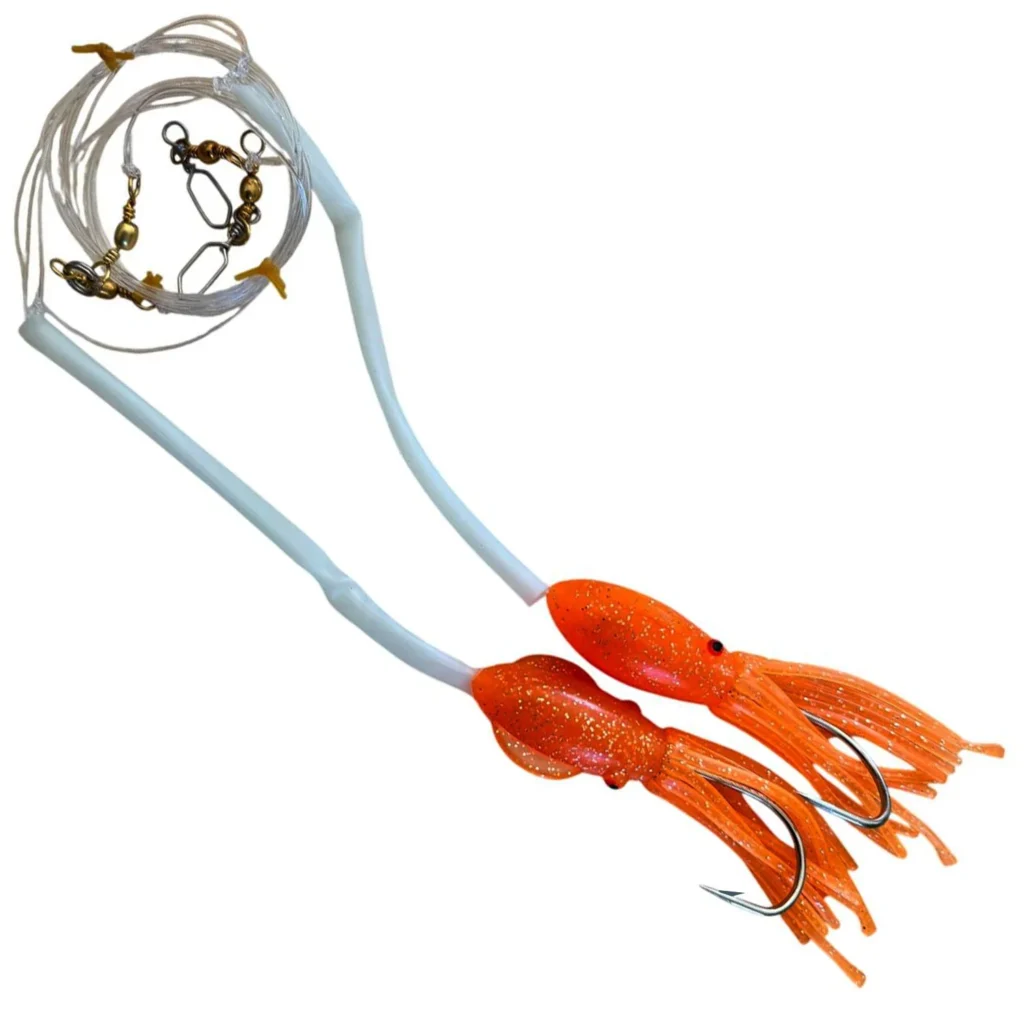 seadragon navazec stikozubec