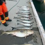 img-20260515-wa0012