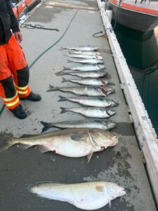 IMG-20260515-WA0012