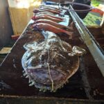 fb_img_1781801925077