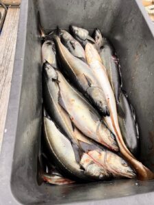IMG-20260904-WA0010