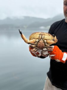IMG-20260904-WA0012