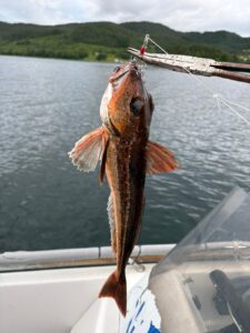 IMG-20260904-WA0013